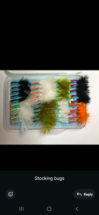 Image 1 of stocking bugs