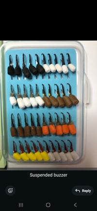 Image 2 of stocking bugs