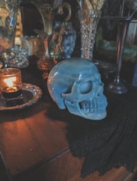 Image 1 of Trollite skull