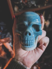 Image 2 of Trollite skull