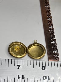 Image 4 of Romantic Keepsake: Yellow Butterfly Photo Locket with Yellow Pressed Flower Inside