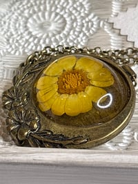 Image 1 of Photo Locket: Vintage Pressed Yellow Daisy Bronze Necklace Botanical Jewelry