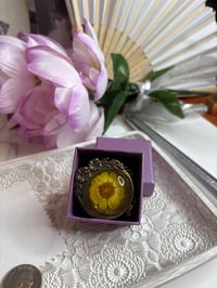 Image 6 of Photo Locket: Vintage Pressed Yellow Daisy Bronze Necklace Botanical Jewelry