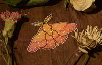 Image 2 of rose maple moth sticker