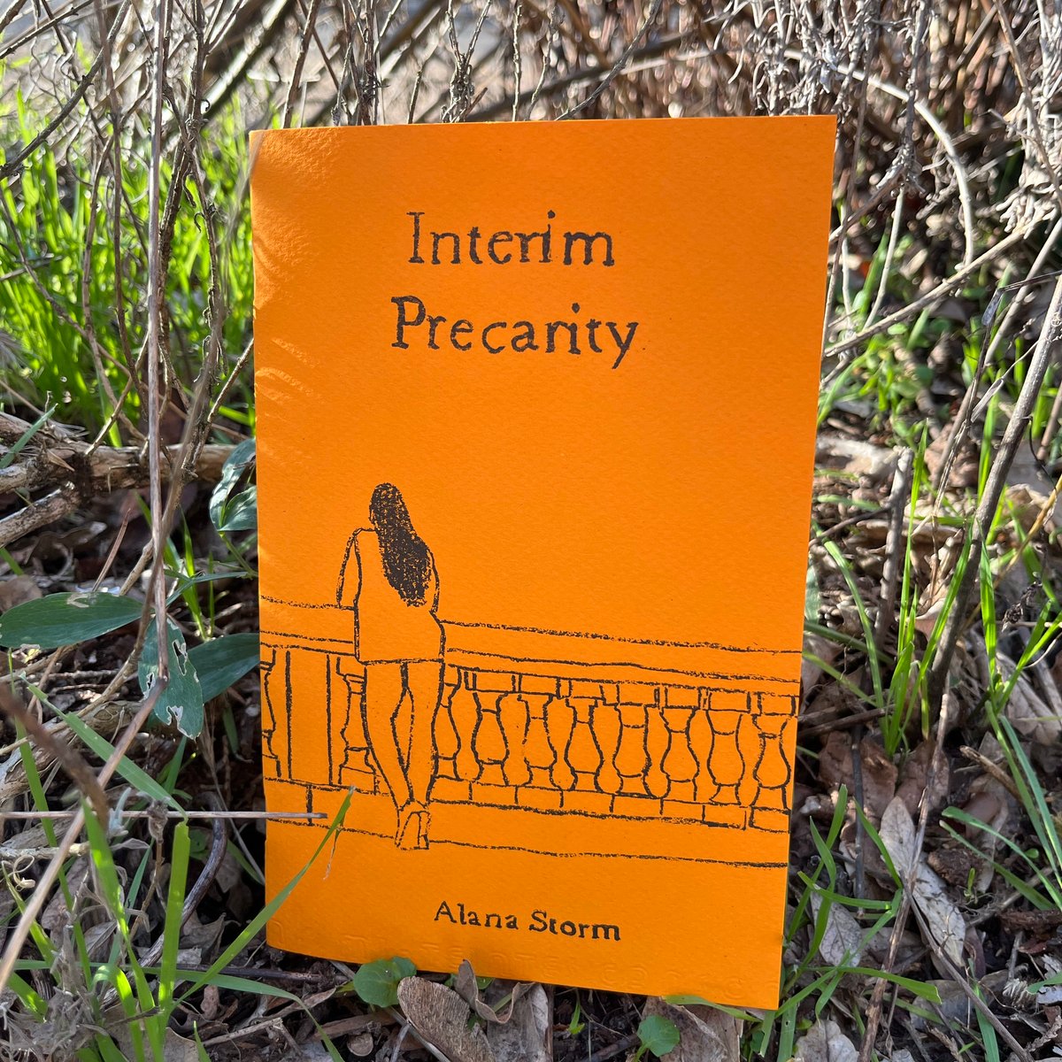 Image of Interim Precarity