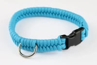 Fishtail Dog Collar 