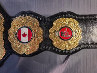 Image 3 of MLP - Canadian Heavyweight Championship (Mens)