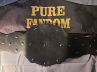 Image 4 of MLP - Canadian Heavyweight Championship (Mens)