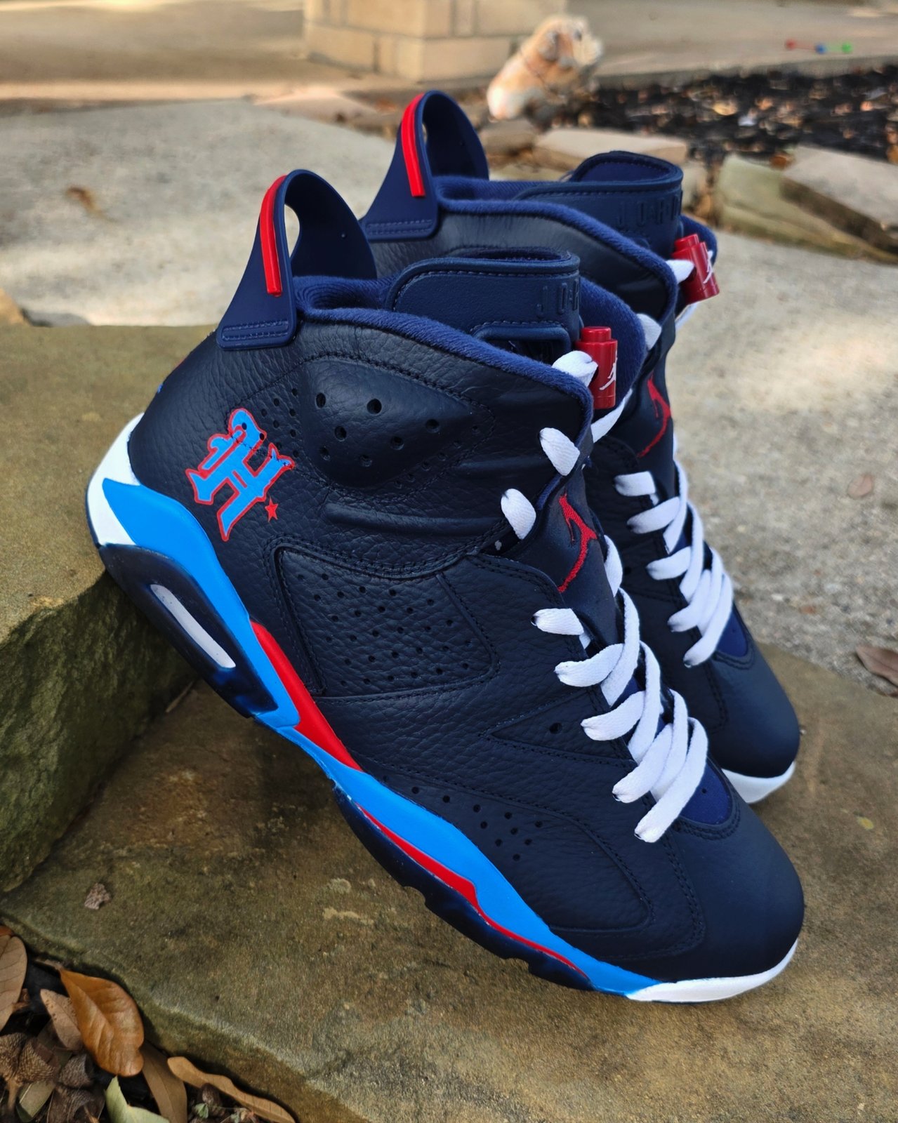 H-town Blue Jordan 6 | Nard Got Sole Customs