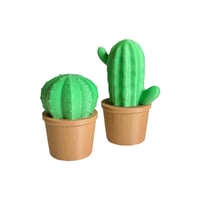 Image 3 of Cactus and Succulents