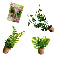 Image 1 of Pot Plants