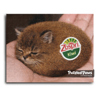 Image 1 of PuzzledPaws Kiwi Catto Puzzle- 110 Piece Puzzle