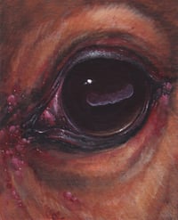 godeye (4x5, 8x10, 11x14 inches) fine art print