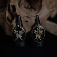Image 1 of Bronze Mouse Jaw Rings
