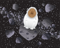 Image 3 of Capybara Collection