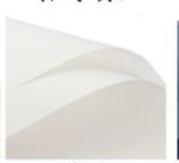 Image 2 of Solid Floral Paper