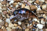 Image 3 of Custom Airbrushed S-CRANK 1.5 Squarebill Crankbait 998