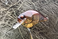 Image 3 of  Custom Airbrushed S-CRANK 1.5 Squarebill Crankbait 8046
