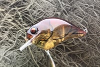 Image 5 of  Custom Airbrushed S-CRANK 1.5 Squarebill Crankbait 8046