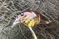Image 6 of  Custom Airbrushed S-CRANK 1.5 Squarebill Crankbait 8046