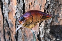 Image 11 of  Custom Airbrushed S-CRANK 1.5 Squarebill Crankbait 8046