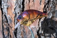 Image 12 of  Custom Airbrushed S-CRANK 1.5 Squarebill Crankbait 8046