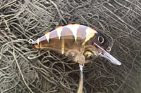Image 4 of Custom Airbrushed S-CRANK 1.5 Squarebill Crankbait 8109