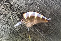 Image 5 of Custom Airbrushed S-CRANK 1.5 Squarebill Crankbait 8109