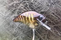 Image 2 of Custom Airbrushed S-CRANK 1.5 Squarebill Crankbait 8142