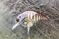 Image 1 of Custom Airbrushed S-CRANK 1.5 Squarebill Crankbait 8142