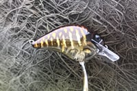 Image 4 of Custom Airbrushed S-CRANK 1.5 Squarebill Crankbait 8142