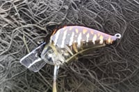 Image 3 of Custom Airbrushed S-CRANK 1.5 Squarebill Crankbait 8142
