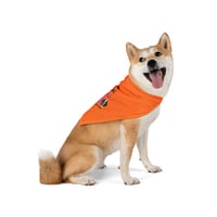 Image 3 of Spare the Dogs (St. Bernard) Pet Bandana