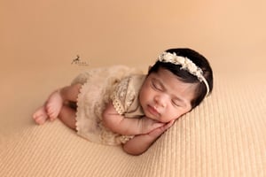 Image of Mia / Apricot