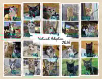 Image 3 of Virtual Adoptions