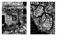 Image 2 of WANDER FULL 