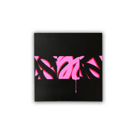 Black & Pink