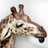 Image 4 of Giraffe