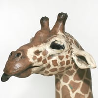Image 5 of Giraffe