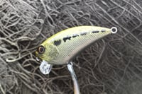 Image 3 of SPEEDBAITS Custom Airbrushed BFS Flatside Wakebait 4604