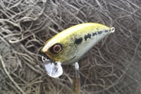 Image 5 of SPEEDBAITS Custom Airbrushed BFS Flatside Wakebait 4604