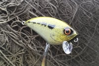 Image 4 of SPEEDBAITS Custom Airbrushed BFS Flatside Wakebait 4604