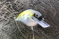 Image 4 of Custom Airbrushed S-CRANK 1.5 Squarebill Crankbait 4628