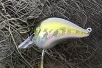 Image 3 of Custom Airbrushed S-CRANK 1.5 Squarebill Crankbait 4628
