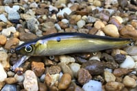 Image 1 of  Custom Airbrushed Jerkbait TA 110 7806