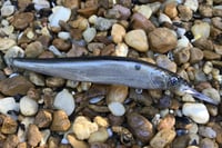 Image 3 of Custom Airbrushed Jerkbait TA 110+ 4706