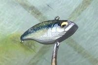 Image 5 of Custom Airbrushed Lipless Crankbait 4991