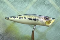 Image 6 of  SPEEDBAITS Custom Airbrushed Topwater Popper 5165