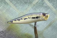 Image 8 of  SPEEDBAITS Custom Airbrushed Topwater Popper 5165
