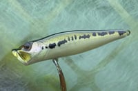 Image 7 of  SPEEDBAITS Custom Airbrushed Topwater Popper 5165